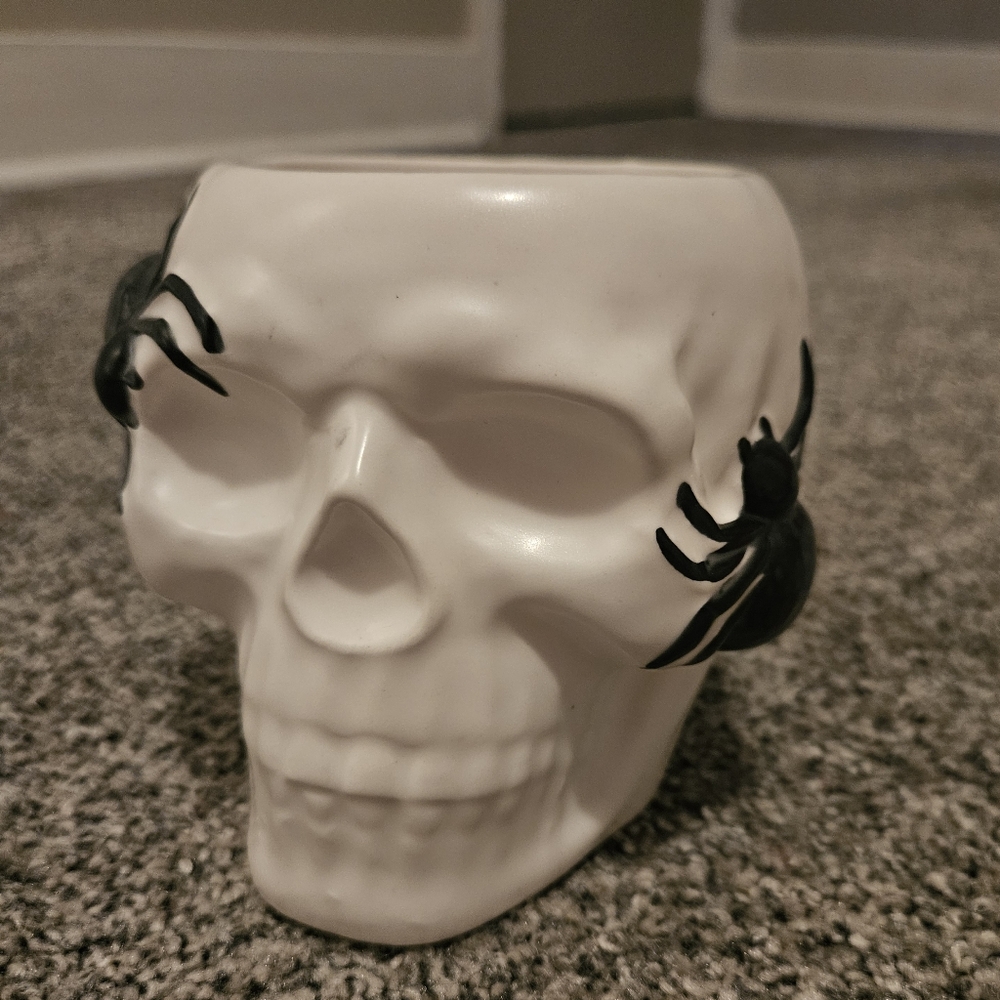 Skull Head Mug with Spider Design Halloween